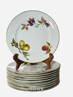 (10) Royal Worcester EVESHAM GOLD Round 8 Salad Plates Set England Vintage 1961