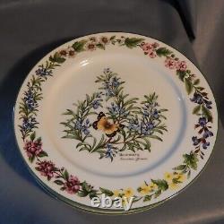 11 Pc Lot Royal WORCESTER Set HERBS Dinner Plates Bread Side Bowls