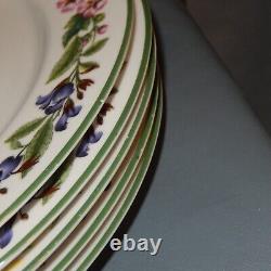 11 Pc Lot Royal WORCESTER Set HERBS Dinner Plates Bread Side Bowls