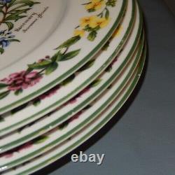 11 Pc Lot Royal WORCESTER Set HERBS Dinner Plates Bread Side Bowls