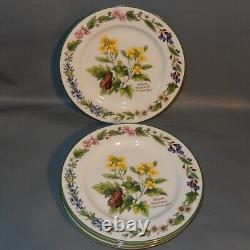 11 Pc Lot Royal WORCESTER Set HERBS Dinner Plates Bread Side Bowls