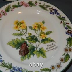 11 Pc Lot Royal WORCESTER Set HERBS Dinner Plates Bread Side Bowls