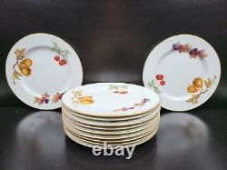 11 Royal Worcester Evesham Gold Salad Plates Set 8 1/4 Porcelain Portugal Lot