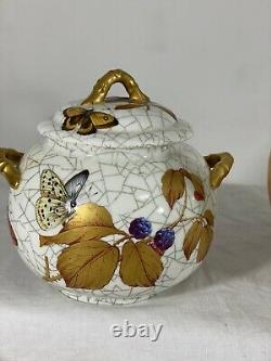 1879 Royal Worcester butterfly&insect tea set teapot creamer sugar Teacup