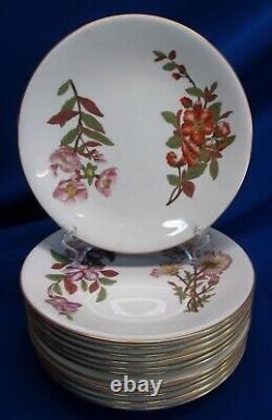 1889 Royal Worcester Set Of 12 Hand-painted Botanical Cabinet Plates 9.25dia