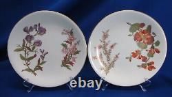 1889 Royal Worcester Set Of 12 Hand-painted Botanical Cabinet Plates 9.25dia