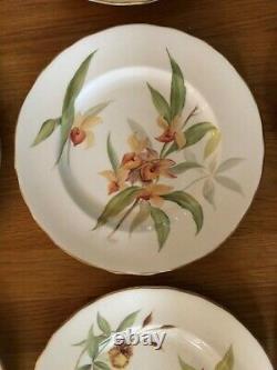 1951 Royal Worcester bone china gilt-edged orchid dinner plates (Set/12) signed
