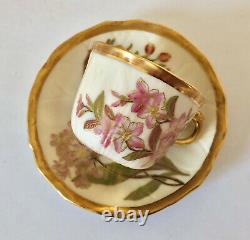 19th C. Royal Worcester Tea Cup & Saucer, Floral, Aesthetic