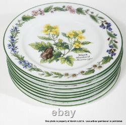 43-PC ROYAL WORCESTER HERBS CHINA + NAPKINS 8 Place Settings Plates Bowls Cups +