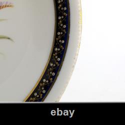 7954 by Royal Worcester C1877 Set 12 Dessert Plates Hand Painted Jeweled Cobalt