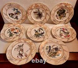 8 Pc Royal Worcester Audubon Birds Of America Plate Set Numbered Minty