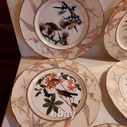 8 Pc Royal Worcester Audubon Birds Of America Plate Set Numbered Minty