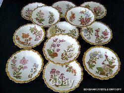 Antique English Royal Worcester HP Gilt Floral Porcelain Dessert Set Plates 19 C