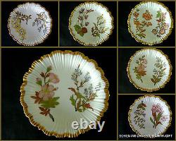 Antique English Royal Worcester HP Gilt Floral Porcelain Dessert Set Plates 19 C