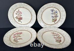 Antique Royal Worcester Dinner Plates 9 1/8 Assorted Flowers