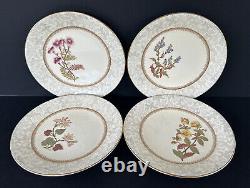 Antique Royal Worcester Dinner Plates 9 1/8 Assorted Flowers