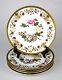 Antique Royal Worcester Hand Painted Peony Floral & Gold Plates England c. 1885