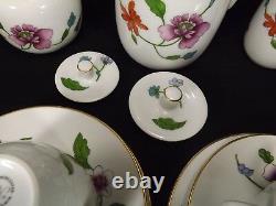 Beautiful Set Of Royal Worcester Astley China-complete Coffee Service For 6