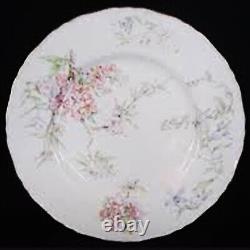 CAPRICE by Royal Worcester 5 Piece Place Setting NEW NEVER USED made England