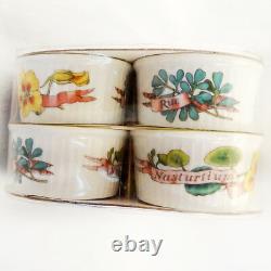 COUNTRY KITCHEN by Royal Worcester Set of 6 Ramekin 3.25 NEW NEVER USED England