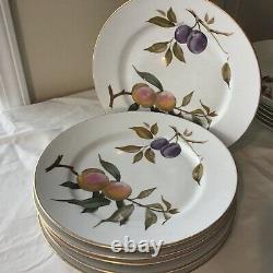 Evesham Gold Dinner Plates 10 England 1961 Royal Worcester Set of 6 Plates