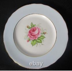 Fine Unused Set of 12 ROYAL WORCESTER Rose Dinner Plates, circa 1940s