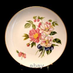 Flower & Fruit / Gold Trim by Royal Worcester LUNCHEON PLATE 9 1/8 SET / 4