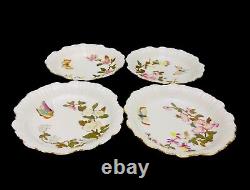 Four Antique/Vintage Royal Worcester Hand Painted Floral & Butterfly Bowls READ