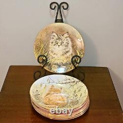 Full Set 8 Kitten Classics Plate Series Royal Worcester The Hamilton Collection