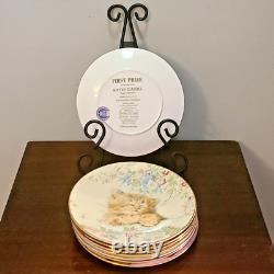 Full Set 8 Kitten Classics Plate Series Royal Worcester The Hamilton Collection