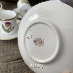 Gorgeous Royal Worcester China Cup and Saucer set of 6