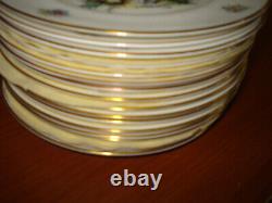 Lot of 16 Royal Worcester England Watteau 8 Plates vintage