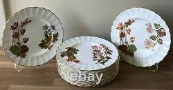 Lovely Set of 10 Royal Worcester Antique Botanical Plates