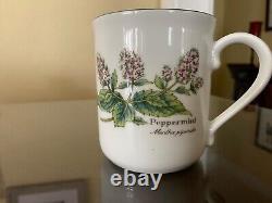 NOS Royal Worcester England Worcester Herbs Fine Porcelain 11 Pc. Coffee Set