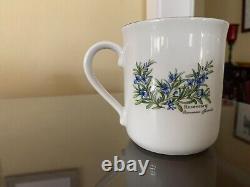 NOS Royal Worcester England Worcester Herbs Fine Porcelain 11 Pc. Coffee Set