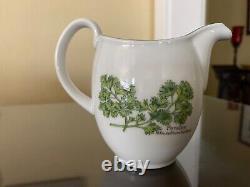 NOS Royal Worcester England Worcester Herbs Fine Porcelain 11 Pc. Coffee Set