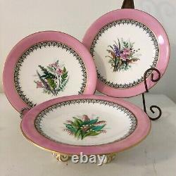 Pink rimmed, antique china dessert set, Worcester, hand painted, compote/plates