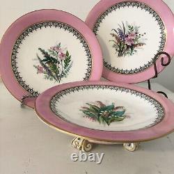 Pink rimmed, antique china dessert set, Worcester, hand painted, compote/plates