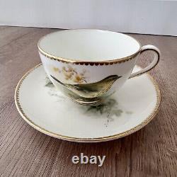RARE SIGNED Vintage Royal Worcester Hand painted Thrush Tea Cup & Saucer