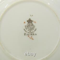 RIVIERA by ROYAL WORCESTER Bone China Set of 6 Bread & Butter Plates 6 Z13/2