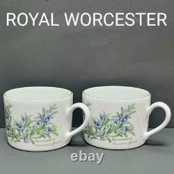 ROYAL WORCESTER #38 Herb Pattern Set Of Cups