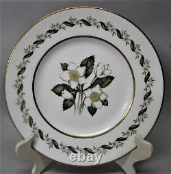 ROYAL WORCESTER UNUSED CHINA SET for 12 BERNINA MINT 60 Pieces