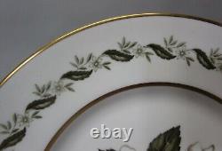 ROYAL WORCESTER UNUSED CHINA SET for 12 BERNINA MINT 60 Pieces