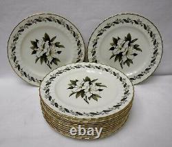 ROYAL WORCESTER china ENGADINE Z2155 no verge Set of 12 Luncheon Plates 9-1/4
