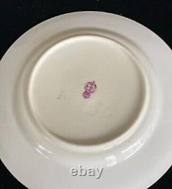 Rare Antique Royal Worcester (5) Plate Set with Hand Painted Floral Spay, ca. 1878