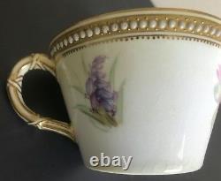 Rare Royal Worcester Jewelled & Glazed Cabinet Cup & Plate Set with Floral Spray