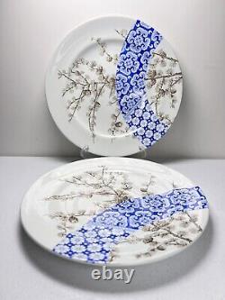 Royal Worcester Aesthetic Blue Dinner Plates SET 2 ANTIQUE 1884 Pine Cone RW102