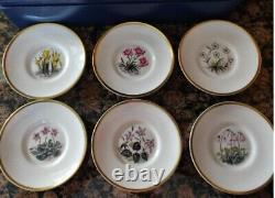 Royal Worcester Astley Lovely Floral Cups & Saucers Includes 6 Sets England