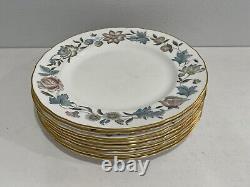 Royal Worcester Bone China Porcelain Sylvan Pattern Set of 9 Dinner Plates