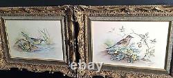 Royal Worcester British Bird Paintings On Bone China Set Of 15 Framed Plaques